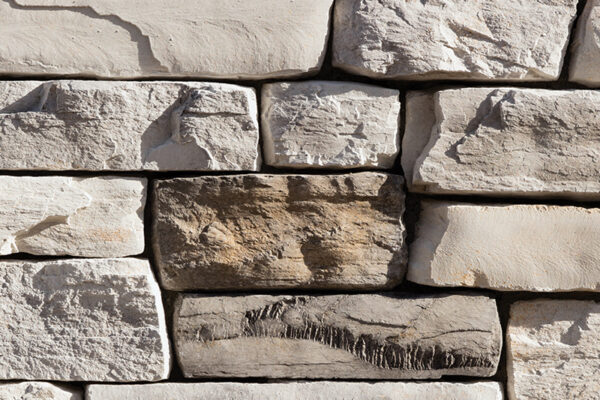 close up profile of Eldorado Stone - Cliffstone in Whitebark